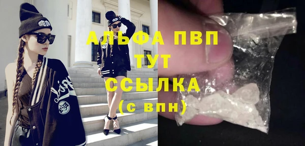 индика Дмитров