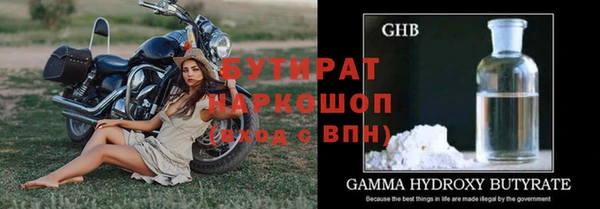 индика Дмитров