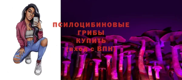 индика Дмитров