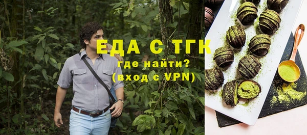 индика Дмитров