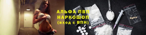 хмурый Няндома