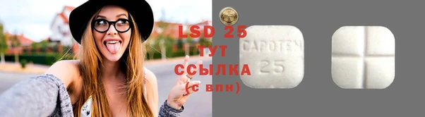 индика Дмитров