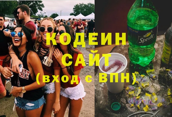 индика Дмитров