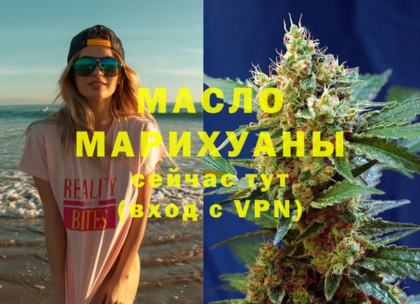 индика Дмитров