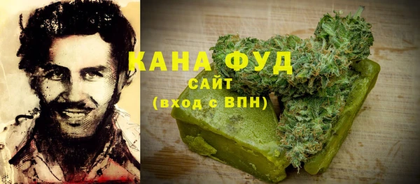 индика Дмитров