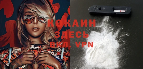 индика Дмитров