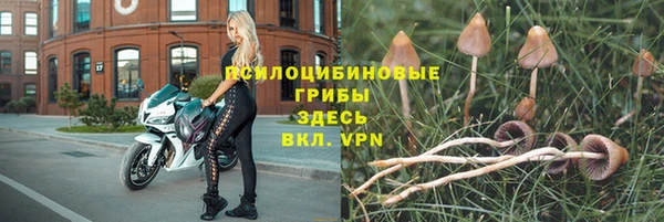 индика Дмитров