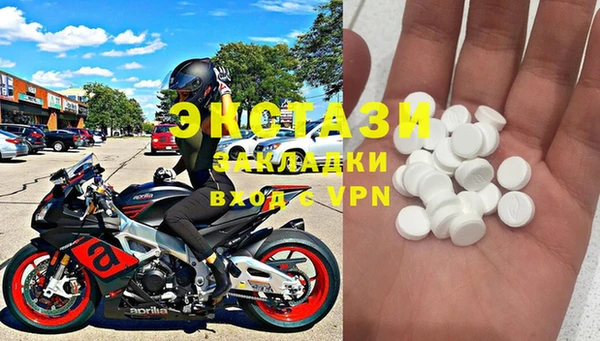 индика Дмитров