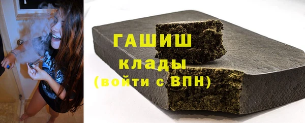 индика Дмитров
